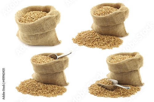farro grain in a burlap bag with an aluminum scoop on a white background