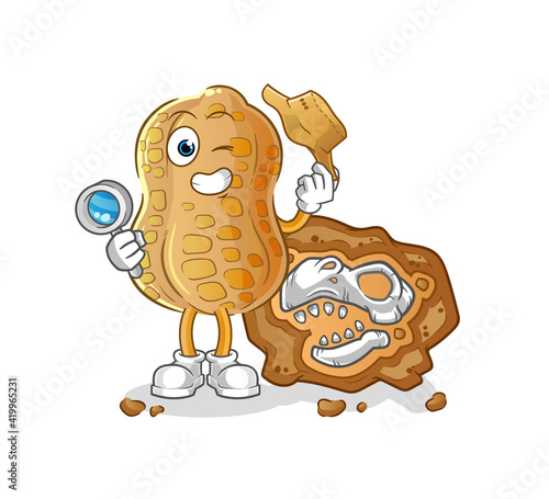 peanut archaeologists with fossils mascot. cartoon vector