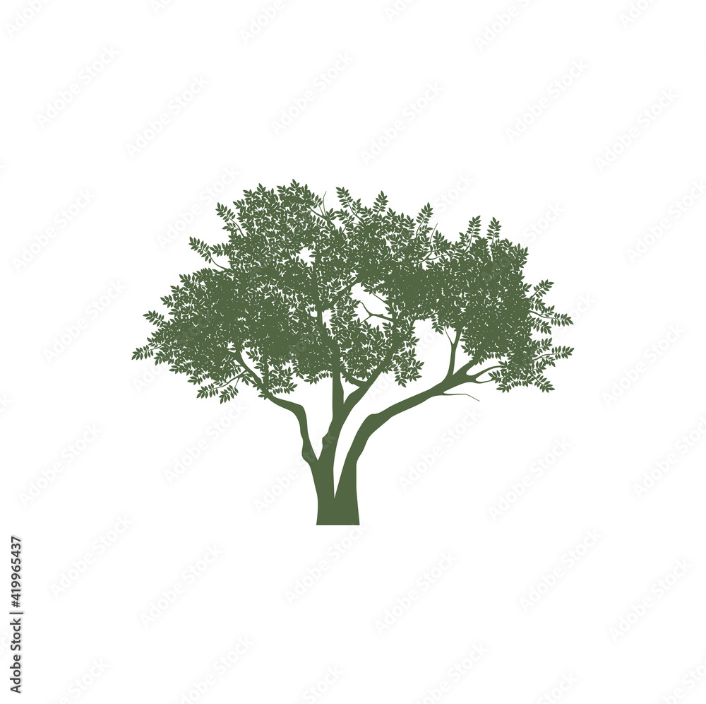 silhouette of tree vector isolated on white