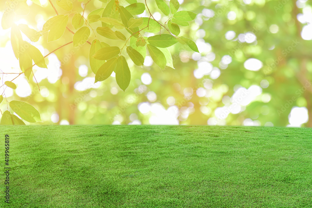 Green grass field over bokeh nature background. Green grass field over bokeh nature background.