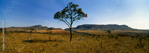 Fotografie Vista panorâmica de paisagem de cerrado na Chapada dos Veadeiros