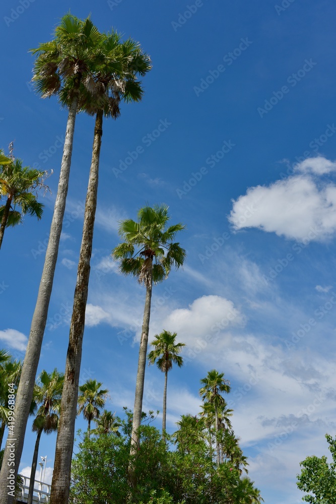 Obraz premium 鹿児島垂水湾の風景