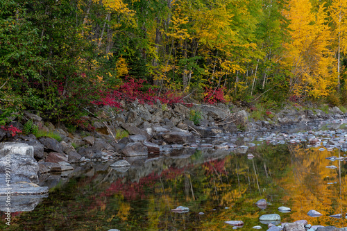 Fototapeta Naklejka Na Ścianę i Meble -  Autumn color reflecting along the Middle Fork of the Flathead River in Glacier National Park, Montana, USA