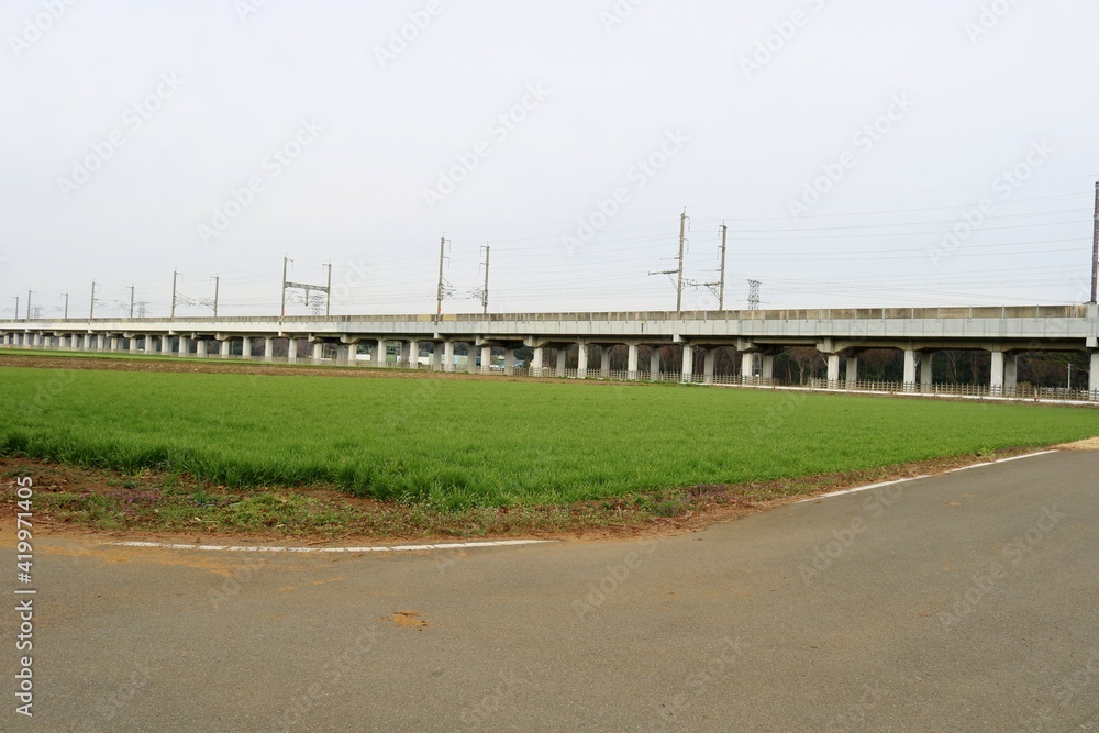 田舎　麦畑　高架橋　風景