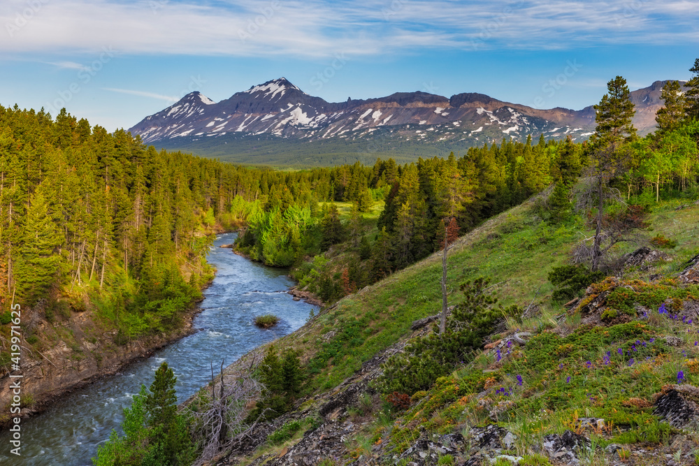 The South Fork of the Two Medicine River in the Lewis and Clark National Forest, Montana, USA The South Fork of the Two Medicine River in the Lewis and Clark National Forest, Montana, USA