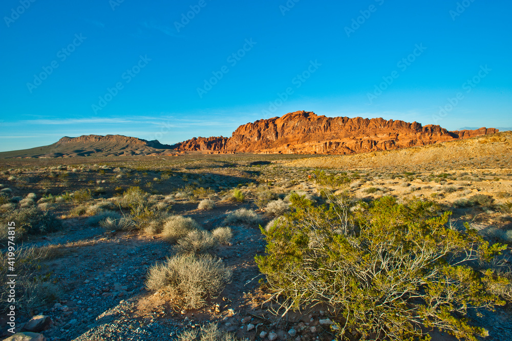 USA, Nevada, Overton. Valley of Fire State Park, first Nevada park, View from Petrified Logs Trailhead