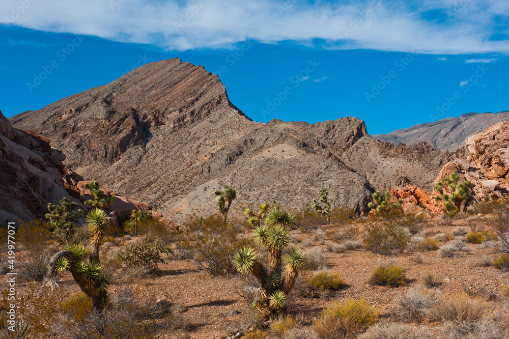 USA, Nevada, Mesquite. Gold Butte National Monument, Whitney Pocket and Black Rock Mountain.