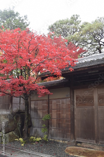 京都の秋を訪ねて