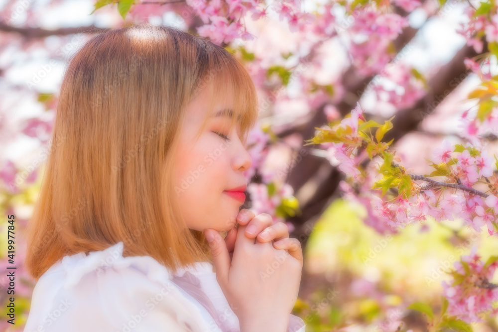 河津桜と若い女性 河津桜と若い女性