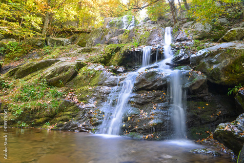 Dark Hollow Falls in Shenandoah National Park - Virginia, United States 