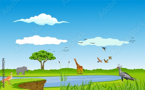 Couple of cheetah in African savannah, green nature landscape, vector