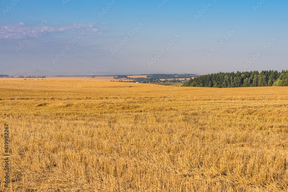 Harvest time meadows in Belarus