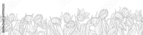 Horizontal seamless border of  line art tulips flowers. Vector background, pattern, print for packaging paper, postcards, textiles. Frame with tulips with leaves. Garland of spring flowers.