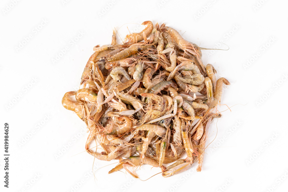 Fototapeta premium Seasonal small seafood fresh splint shrimp