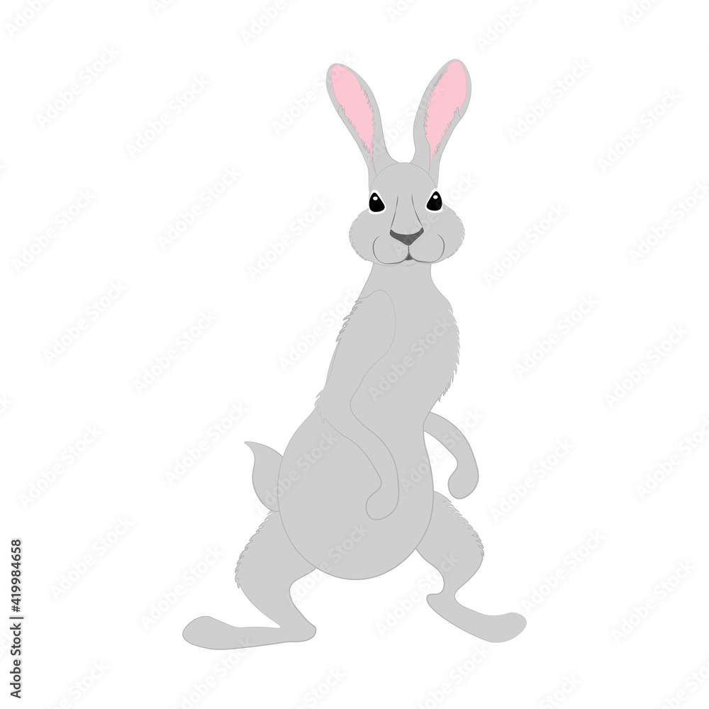Fototapeta premium Rabbit little bunny cute animal vector illustration