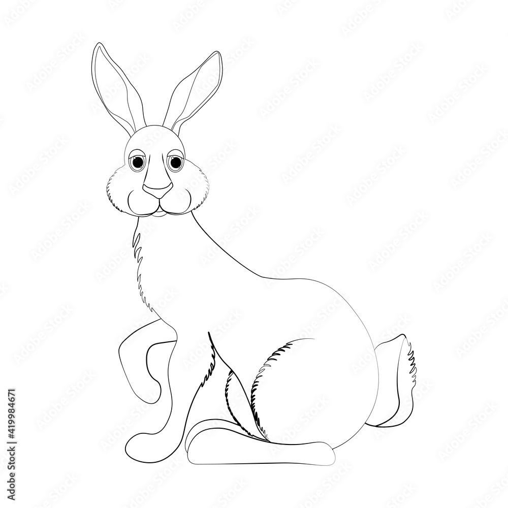 Obraz premium Rabbit little bunny cute animal vector illustration outline