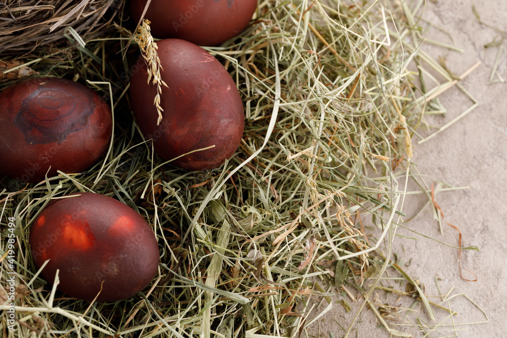 Still life many colorful easter eggs on a textural background. Rustic. Decoration from natural herbs. Easter celebration concept.