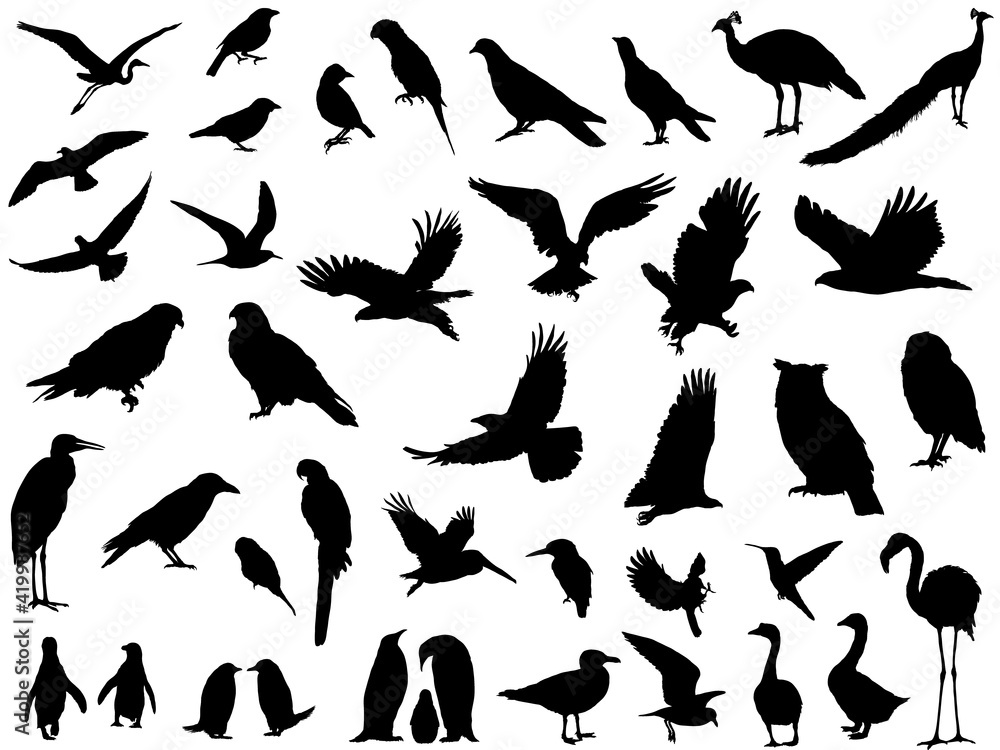 鳥シルエット_セット 鳥シルエット_セット