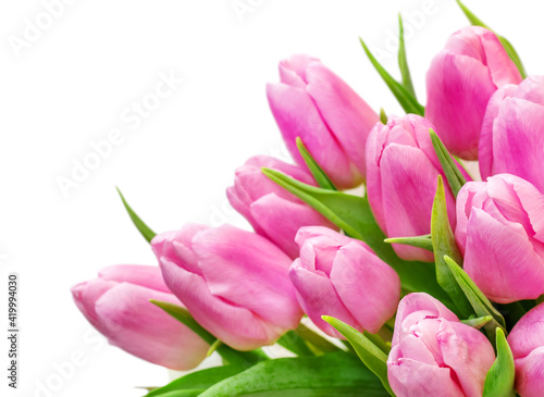 Bouquet of pink tulips. Isolated on white. Close up. Space for text.