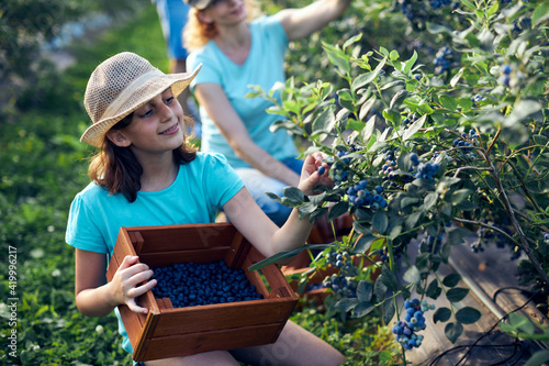 Photo Mother and daughter picking blueberries on a organic farm - family business concept