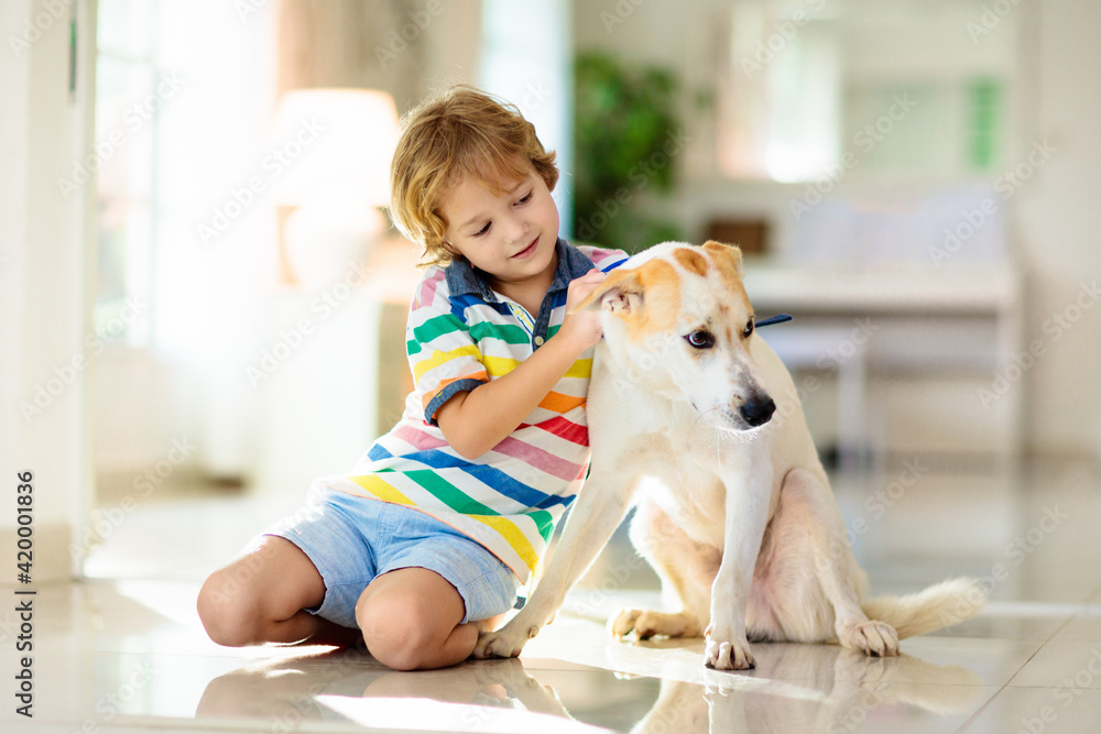 Child playing with dog. Kids play with puppy. Child playing with dog. Kids play with puppy.
