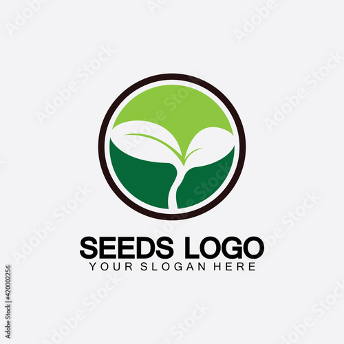 Plant Seeds Logo Concept Template Vector.growing seed logo.Seed grow Vector logo illustration design template