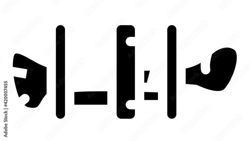 Ilizarov apparatus glyph icon animation Ilizarov apparatus glyph icon animation
