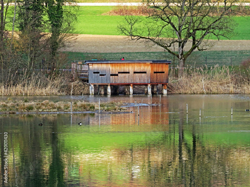 Bird observation post (Hide) in water bird protection area Flachsee (Vogelbeobachtungsstand im Wasservogelschutzgebiet Flachsee), Unterlunkhofen - Switzerland (Schweiz) photo