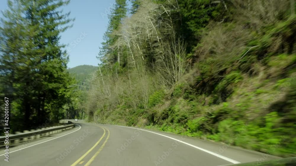 Pov: Driving Along A Winding Country Highway Lined By Lush Forestland In The Sunshine Pov: Driving Along A Winding Country Highway Lined By Lush Forestland In The Sunshine