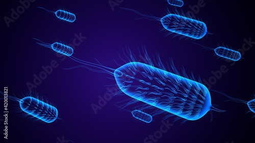 3d illustration of  bacteria anatomy photo