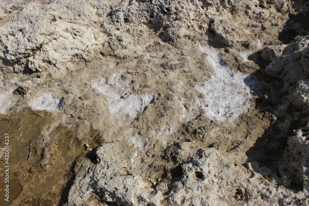 Eau de mer séchant sur un rocher avec taches de sel (Saint-Palais-sur-mer)