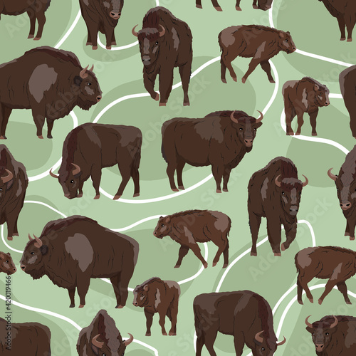 Seamless pattern. European bison Bison bonasus Males, females and calves European wood bison. The wisent or the zubr. Realistic vector wild animals of Europe. Bialowieza Forest.