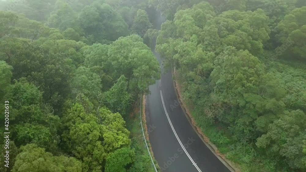 Aerial Backward Tilt Up: Road Amidst Green Trees In Forest Aerial Backward Tilt Up: Road Amidst Green Trees In Forest