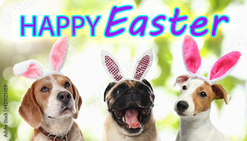 Happy Easter. Cute dogs with bunny ears headbands outdoors