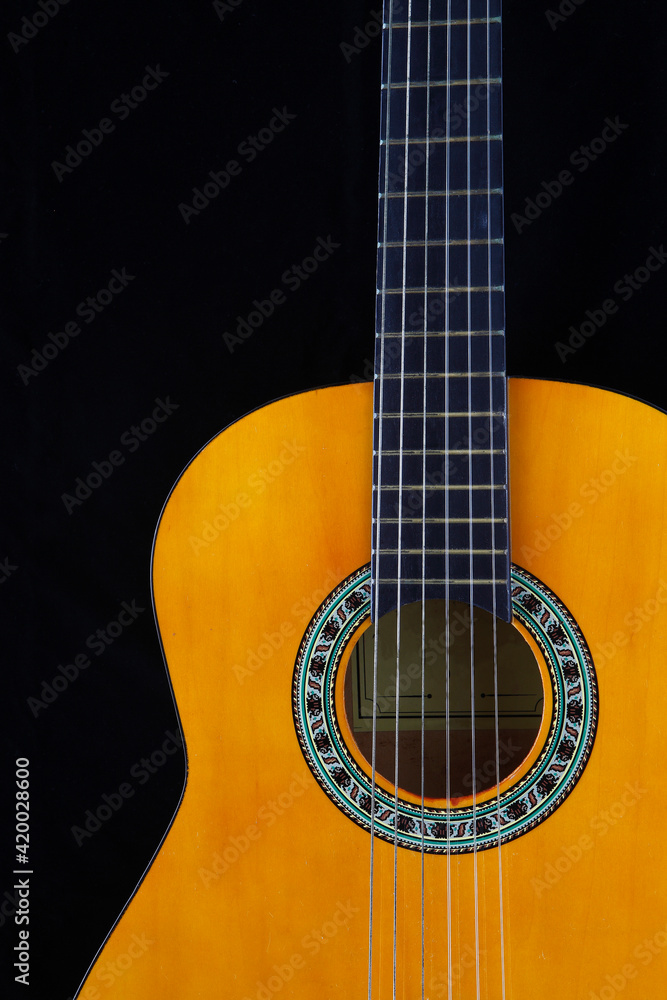 The guitar is a musical instrument that is used in a wide variety of musical styles. It typically has the six strings, but four, seven, eight, ten, and twelve string guitars also exist.