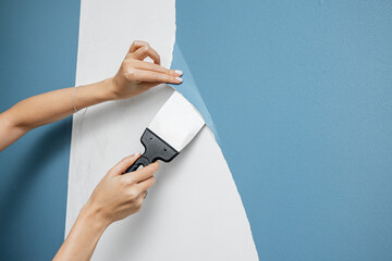 A woman housewife peels off an old vinyl wallpaper with a trowel or spatula