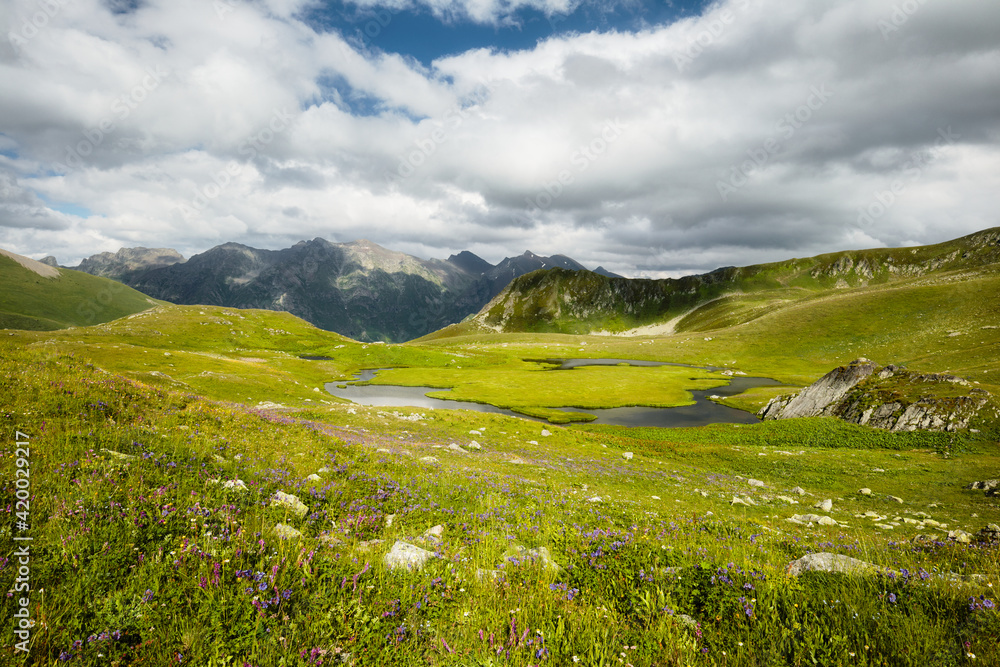 Mountain lake in summer with a flower meadow and mountains in the background. Blue sky with white clouds. Russia, Caucasus