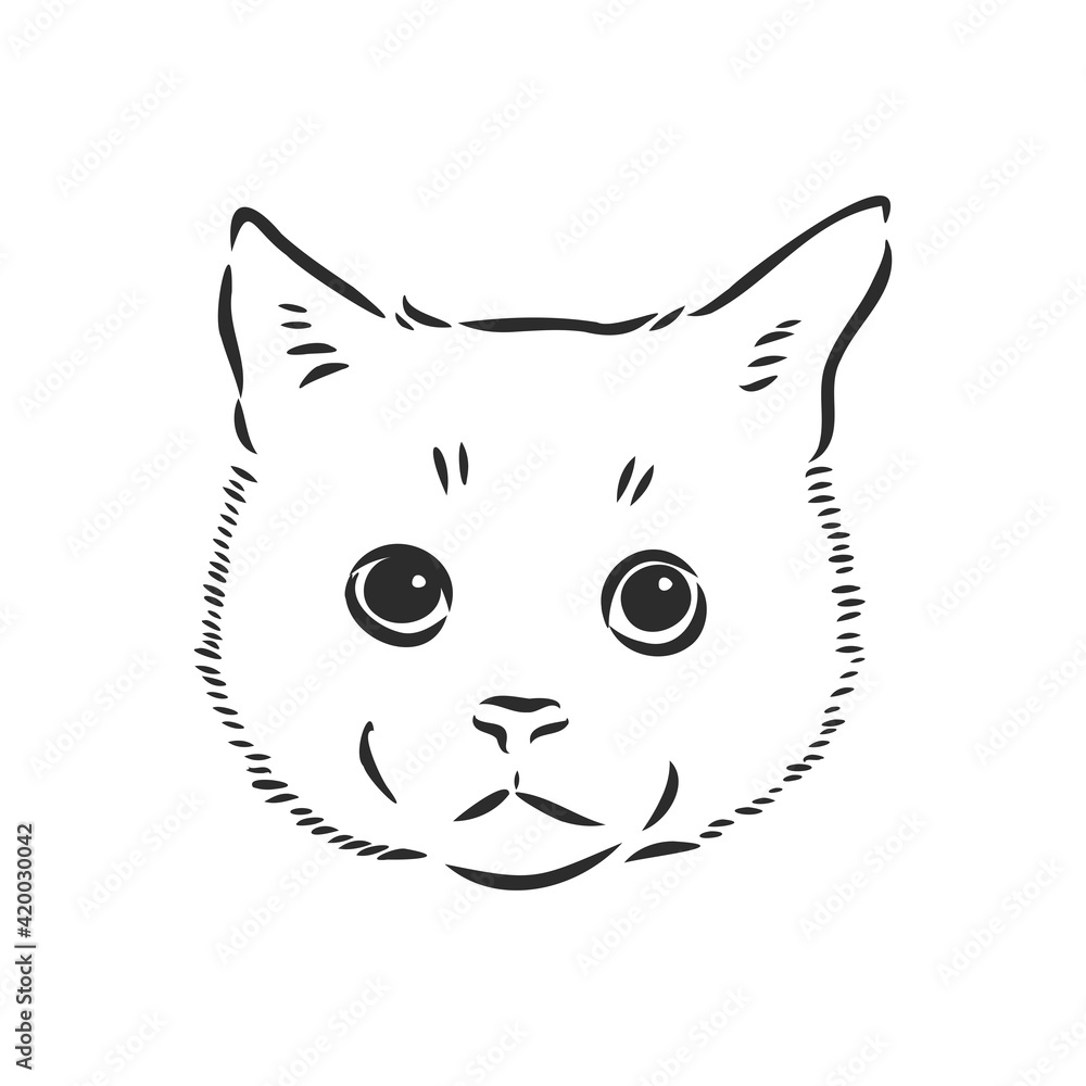 Vector drawings sketches head of a cat hand are drawn in ink by hand , objects with no background logo, tattoo Vector drawings sketches head of a cat hand are drawn in ink by hand , objects with no background logo, tattoo