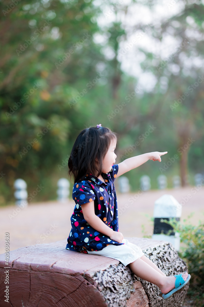 Portrait Asian baby child girl sitting on natural wood sofa see nature in Pong Kon Sao National Park, Thailand. Take the kids to enjoy nature in winter. The girl is 3-4 years old. Portrait Asian baby child girl sitting on natural wood sofa see nature in Pong Kon Sao National Park, Thailand. Take the kids to enjoy nature in winter. The girl is 3-4 years old.