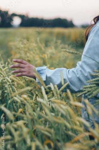 A woman in a denim jacket touches green ears of wheat with her hand