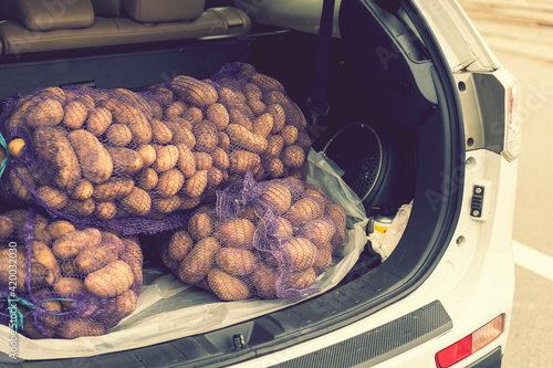 loaded car carries on the trunk bags of potatoes. trunk of a car filled with potatoes. toned