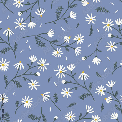 Meadow camomile seamless vector pattern. Boho botanical floral daisy background. Delicate field flower and petals herbarium illustration.