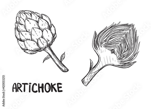 Hand drawn sketch black and white of artichoke, slice, leaf. Vector illustration. Elements in graphic style label, sticker, menu, package. Engraved style illustration. photo