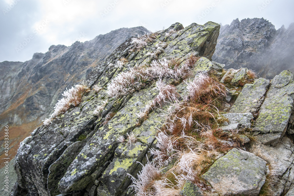 Szpiglasowa Przełęcz, Tatry