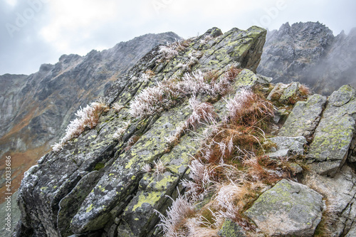 Obraz na płótnie Szpiglasowa Przełęcz, Tatry w salonie