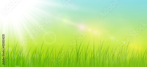 Sunny natural background, s...