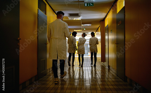 Young chemistry students walk down hallway in the university building while have a break. Institution, hallway, university, people