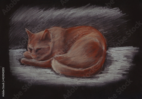 Sleeping cat. Sanguine and white calk sketch on toned black paper. photo