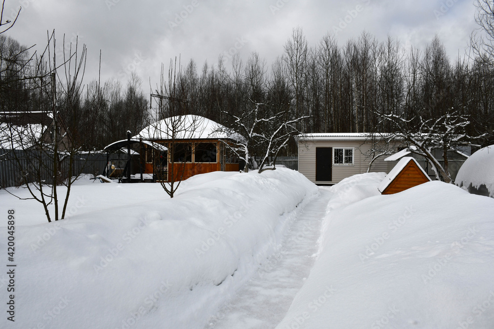 A cloudy winter day in the garden. The path is cleared among snowdrifts.