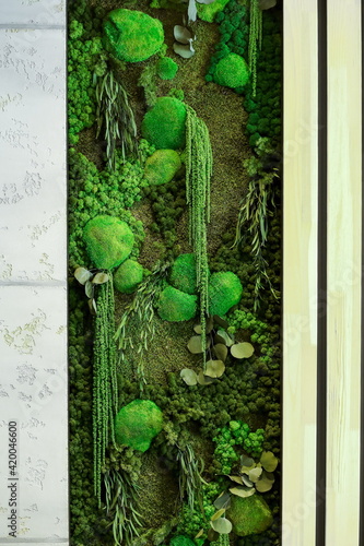 green moss background on the wall in the form of a panel in the interior, the texture of green eco-friendly moss close-up vertical arrangement
